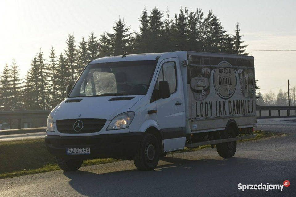 Mercedes Sprinter 22 CDI Chłodnia mroźnia welurowa tapicerka