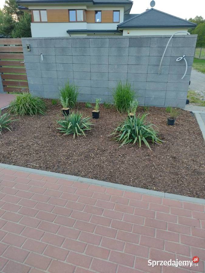 Ogród pielęgnacja budowa Komornica