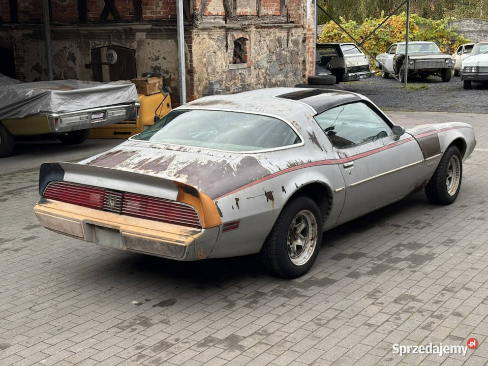 Pontiac Firebird Trans Am Pontiac Firebird 1981 Sulechów