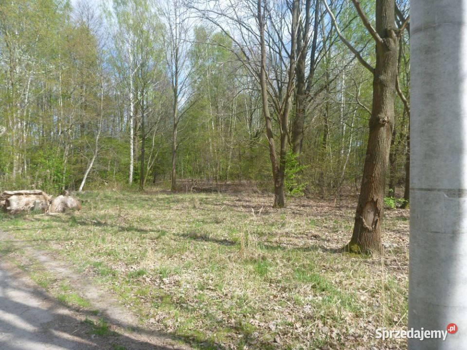 Nowa Wieś 10153 m2 miedzy Pruszkowem i Komorowem