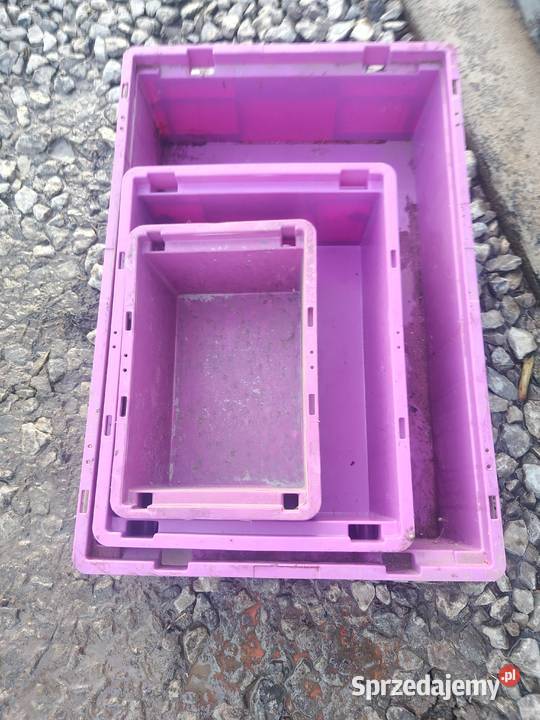 Sprzedam kpl skrzynek plastikowych świętokrzyskie Linów