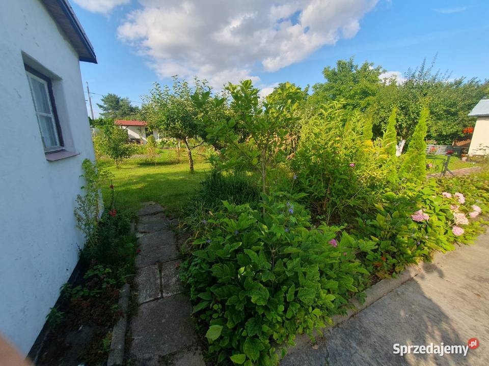 Działka ROD Kraszewskiego woda pomorskie Pruszcz Gdański