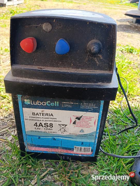 Sprzedam Pastucha mazowieckie