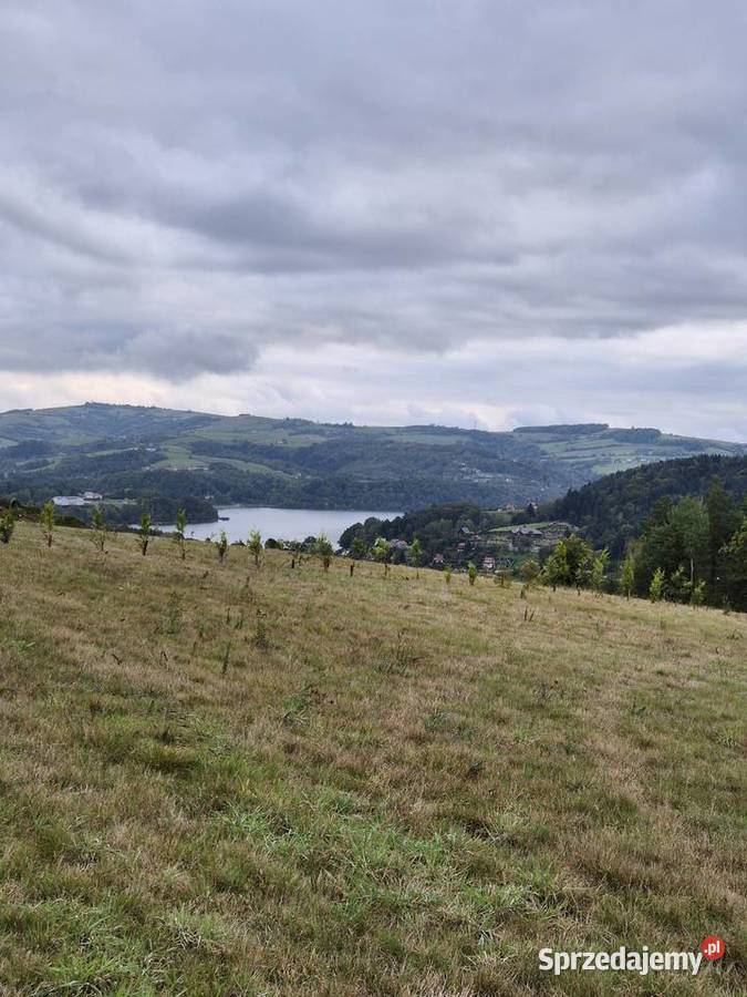Działka budowlana w Rożnów gmina Gródek Dunajcem