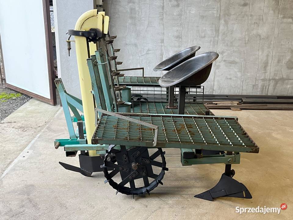 Sadzarka do ziemniaków podkiełkowanych wczesnych Poddębice