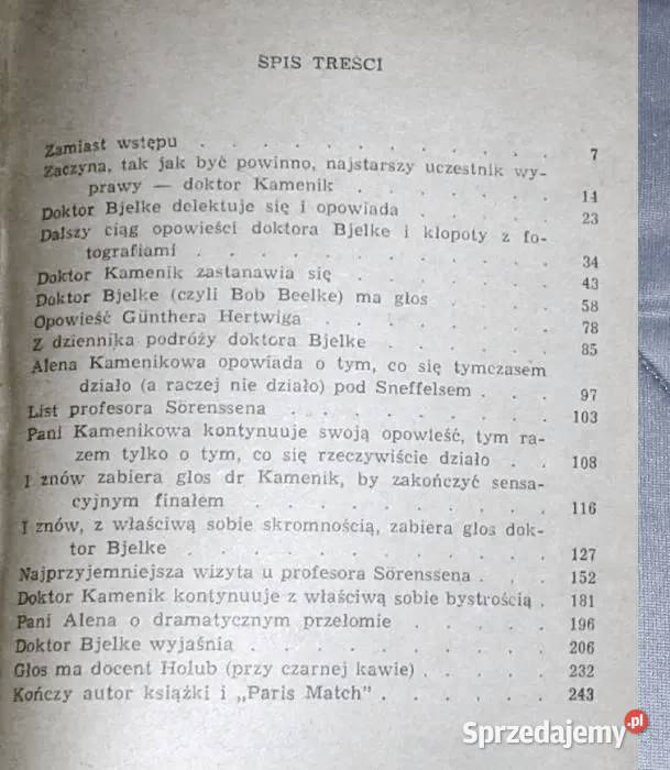 Znak jeźdźca Ludvk Souek