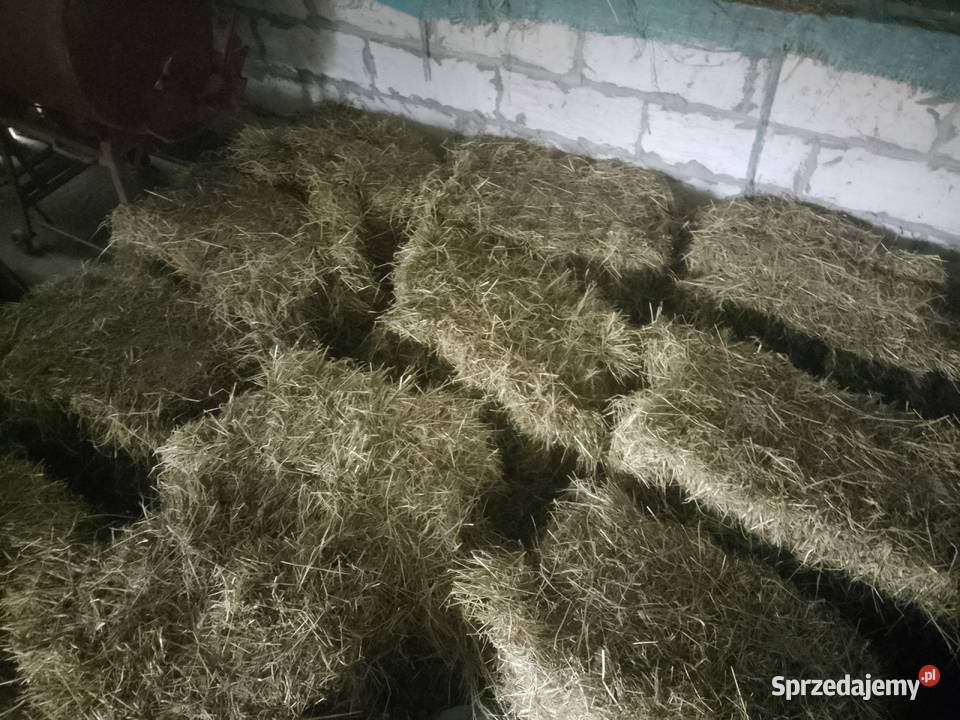 Sprzedam siano podkarpackie Rozbórz Okrągły sprzedam