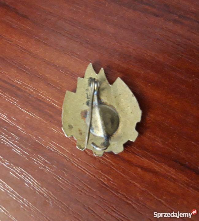 Tot Inainte agrafka rumuńskich pionierów lata Bielsko-Biała