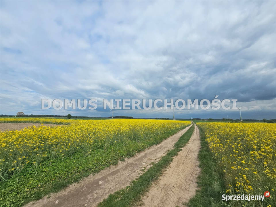 Grunt Stefanów 67765m2