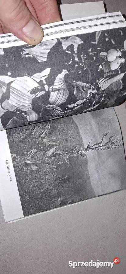 II wydanie botaniczno entomologiczne PWWP 1987 Łęczyca