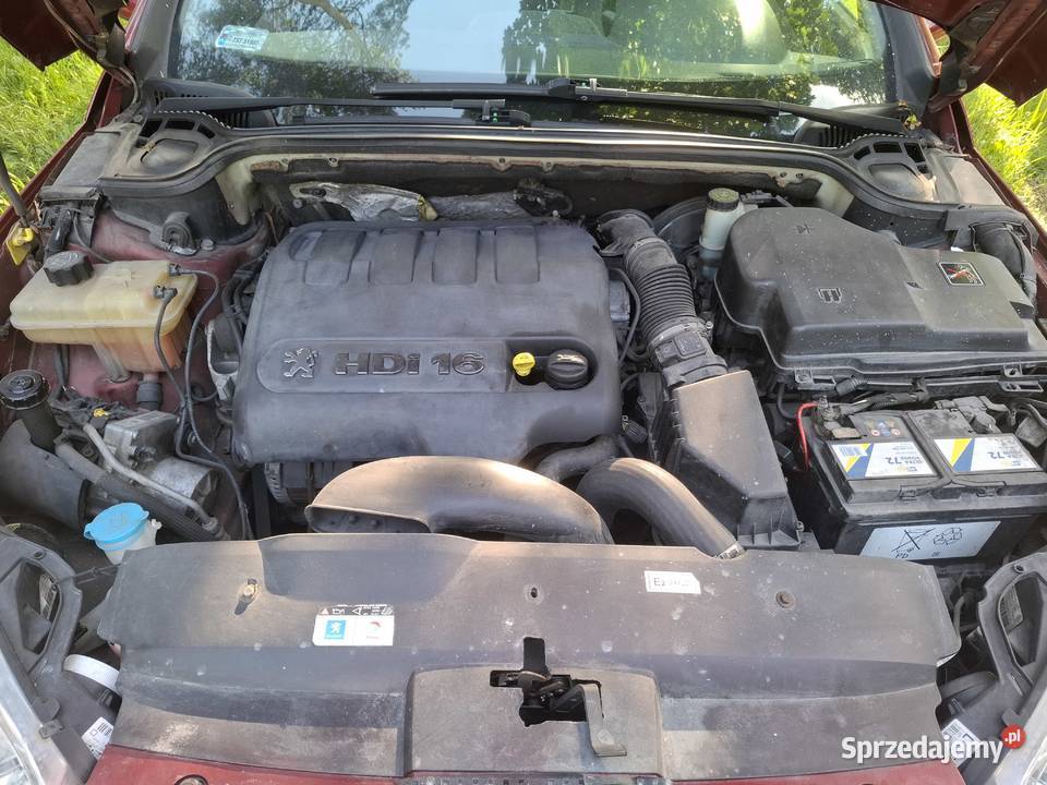 Peugeot 407 2007 20hdi Panorama 320000km Końskie