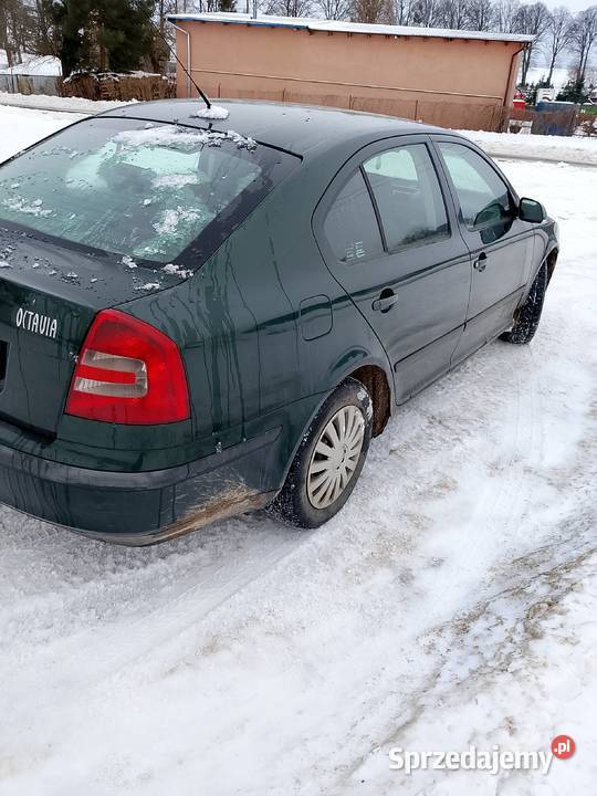 Skoda Octavia 19 TDI 105 Wszystkie części tanio kujawsko-pomorskie Grudziądz