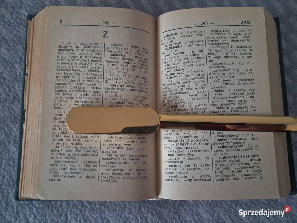 Książka słownik rosyjskopolski do sprzedania dla dorosłych