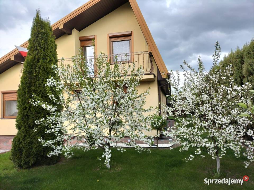 Chrząblice gm Brudzew parter poddasze użytkowe drewniane sprzedam