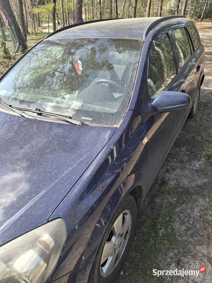 Sprzedam manualna wielkopolskie Pyzdry