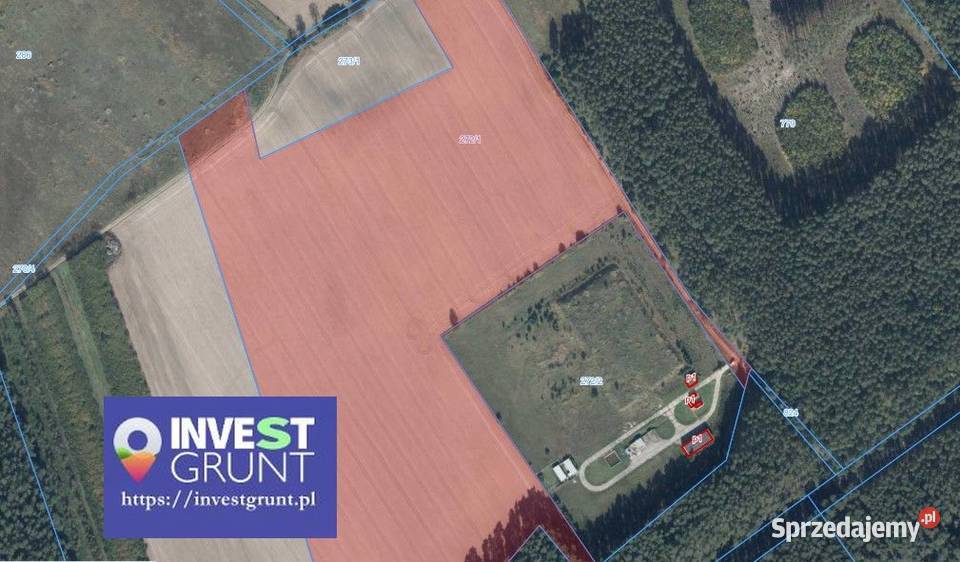 1118 ha przetarg na dzierżawę gruntów rolnych Nowy Dwór sprzedam