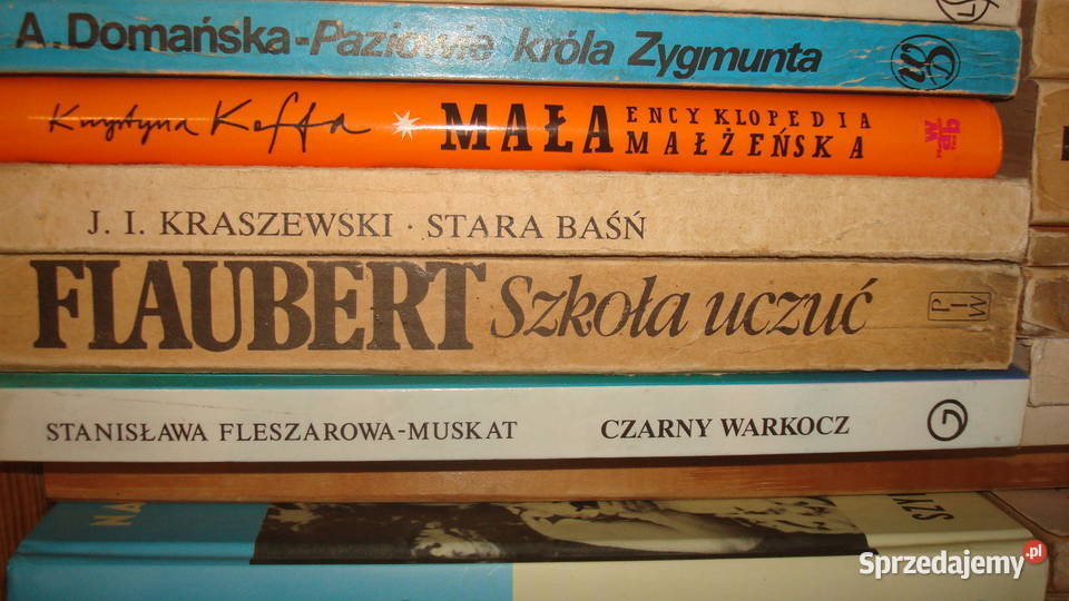 Książki literatura js Osięciny