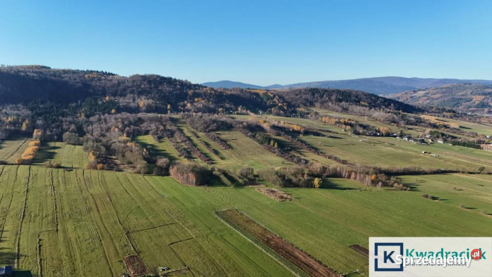 sprzedaży gruntu Nowy Żmigród 9325m2 36m