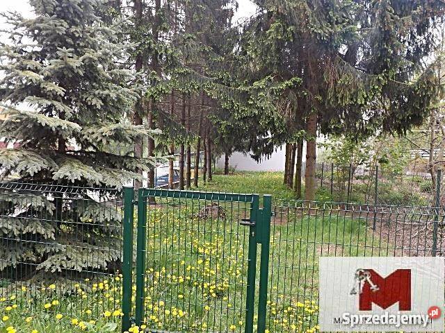 lokal KędzierzynKoźle sieć komputerowa Lokale użytkowe Kędzierzyn-Koźle