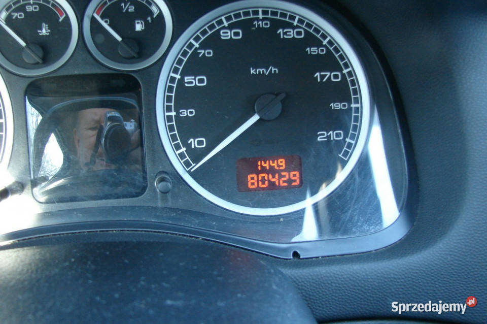 Peugeot 307 16 E 110 80000 stan listopad 2004 I Piła