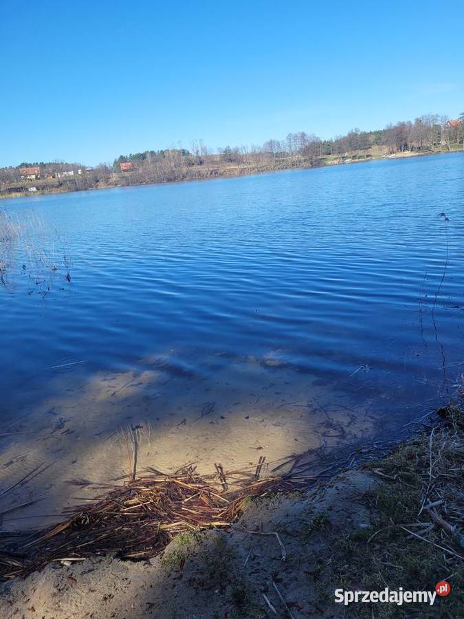 Działka rolna z warunkami zabudowy Lubiewo