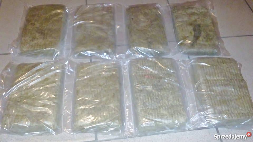 Wygłuszenie kolumn ZG 30 C 114 115 Oryginalne Słuchawki i głośniki Ostrów Mazowiecka sprzedam