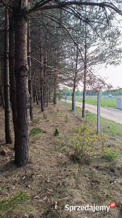 Działka 1500 m2 Mierzwice