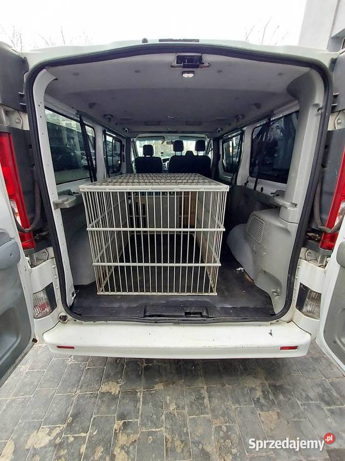 Transport zwierząt domowych Poznań