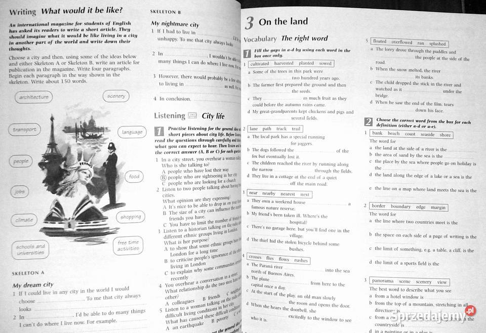 First Certificate Avenues Workbook David Foll Chełm