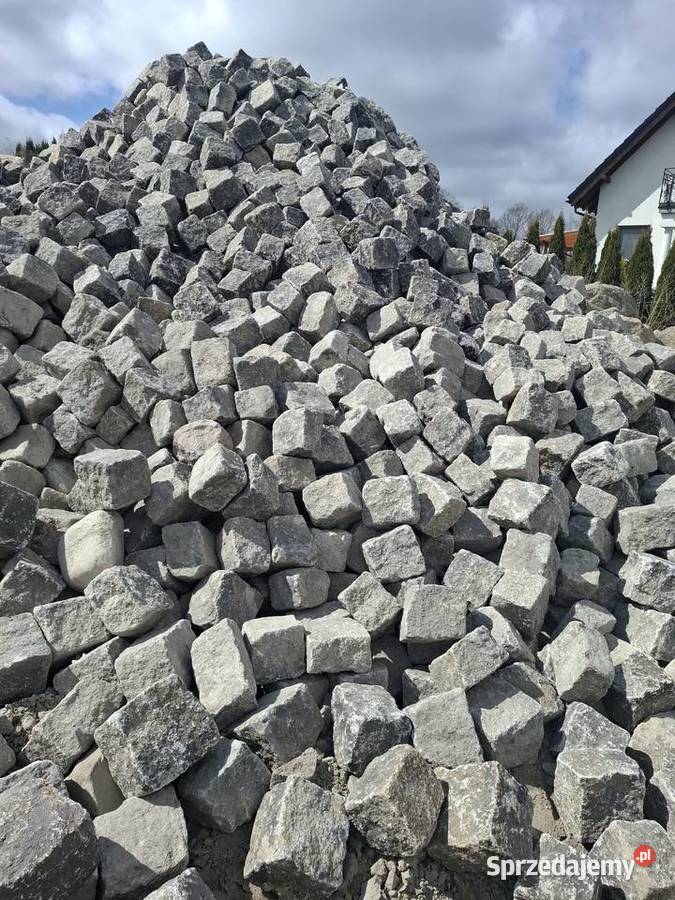 Krostka rzędowa szara łupnieta na pół pomorskie Prokowo