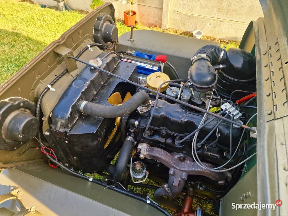Jeep Willys CJ3B 89km Wieluń sprzedam