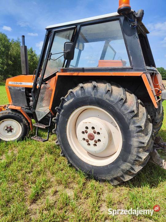 Sprzedam ursusa 902 1983r Szadek