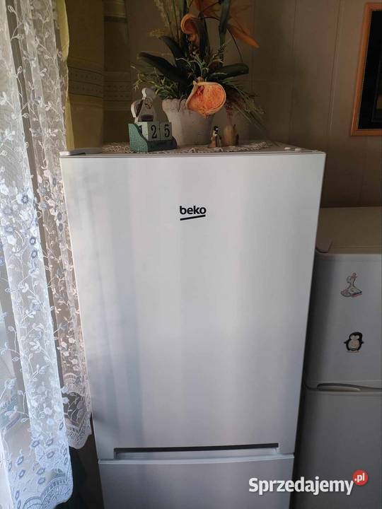 Lodówka Beko Leżajsk