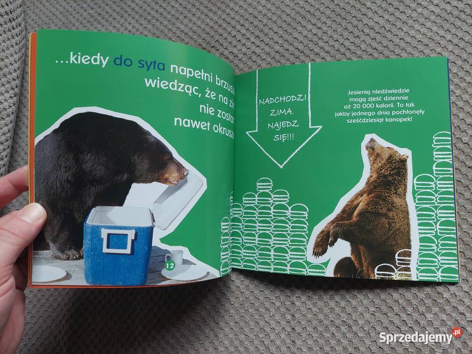 O gawrach czyli niedźwiedzich łóżkach Becky miękka