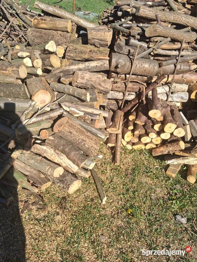 drewno sosnowe suszki drewno z leszczyny klona i lubelskie Lublin