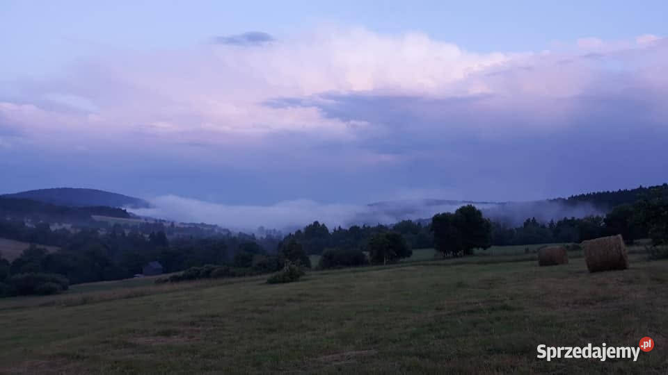 Działka 13 ha Beskid Niski Wołowiec widokowa