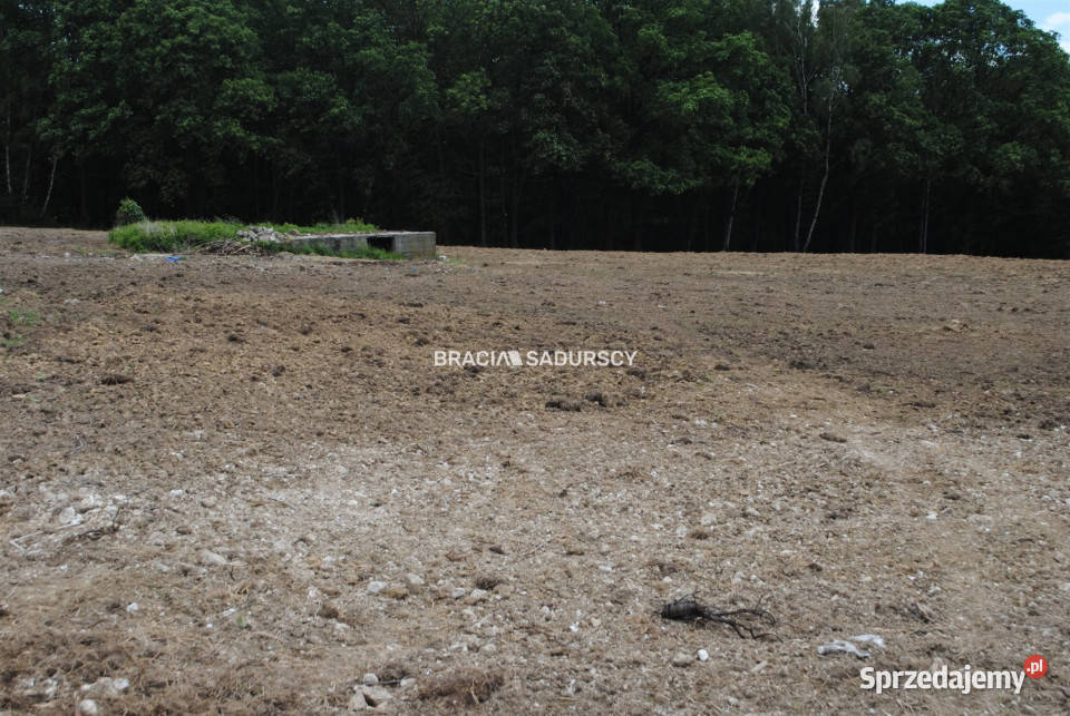 Działka Jankówka 10518m2 woda małopolskie