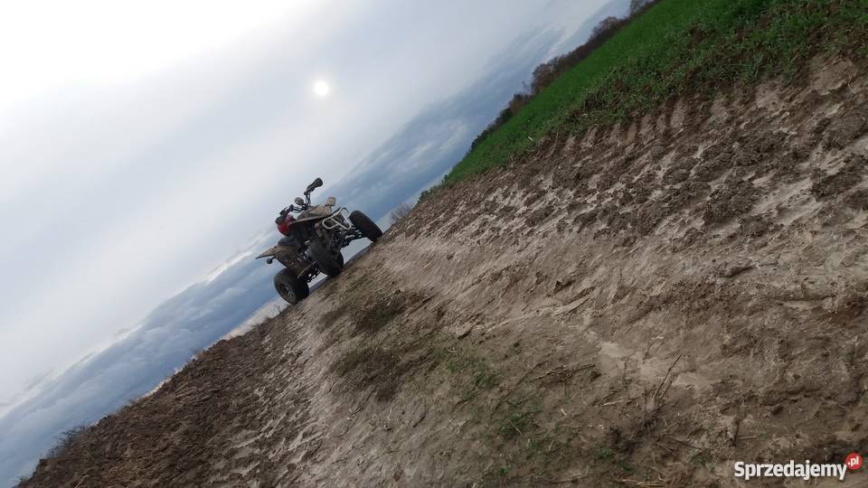 Eagle Lyda 250 Yamaha Suzuki honda Zamość