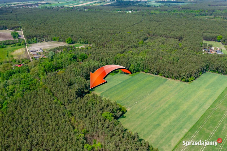 Budowlana 2300 m ze stawem i zielenią Sprzedaż Góry Prusinowskie