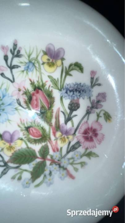 Talerzyk Aynsley Wild Tudor Made in England Gdańsk
