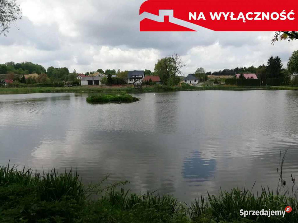 Działka o pow 46 ha w Klementowicach gm Kurów Klementowice