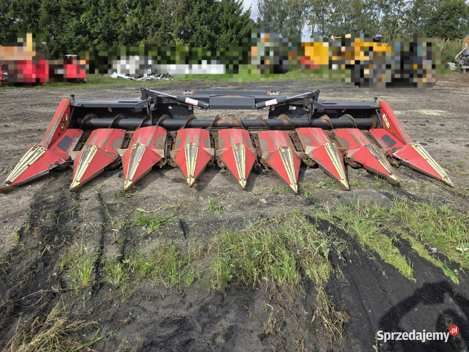 Przystawka do kukurydzy OLIMAC Drago 8 TR Claas