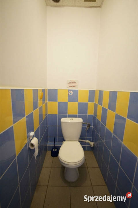 Lokal na wynajem 104m2 Opole Ilość pomieszczeń 0