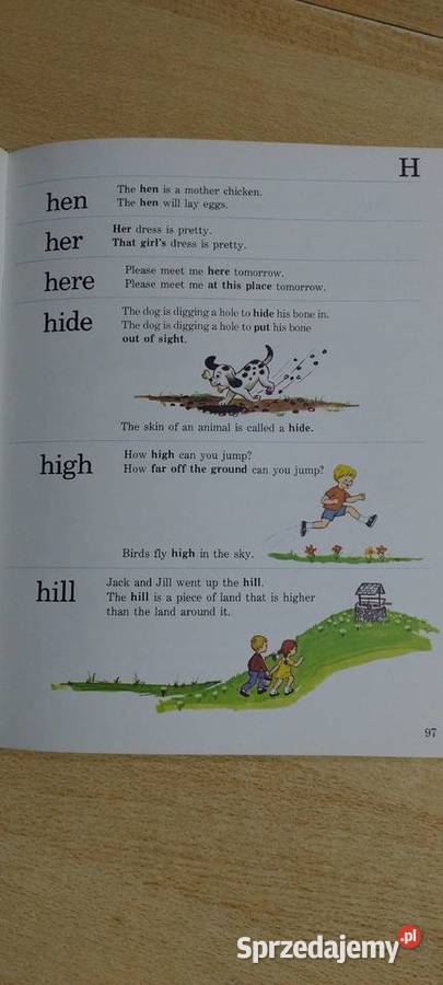 Nowy obrazkowy kolorowy słownik dzieci