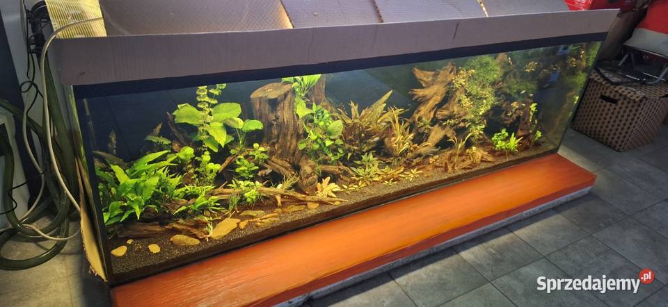 Akwarium Łask