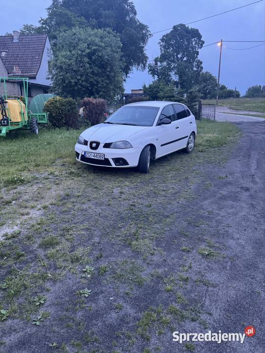 Sprzedam 19 sdi Rok produkcji 2004 zachodniopomorskie Gryfice