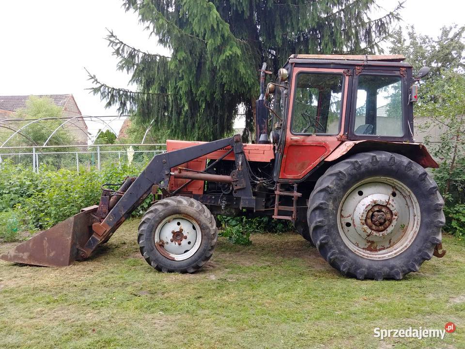 MTZ 82 z Turem 4x4 Zarejestrowany 88r Okazja Śmigiel sprzedam