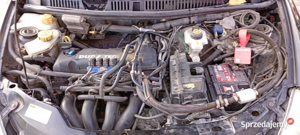 Ford street ka skórzana tapicerka Starachowice