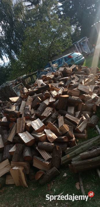 Olcha Białawy Wielkie sprzedam