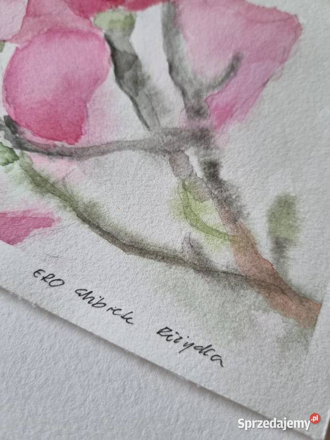 Magnolie oryginalna akwarela różowy łódzkie Łódź